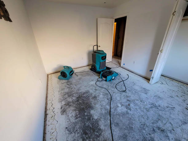 Best Water damage restoration near me  in Cedarburg, WI