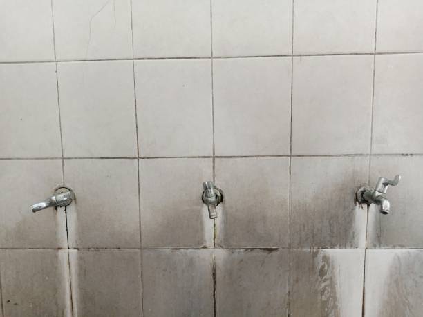 Best Water damage mitigation services  in Cedarburg, WI