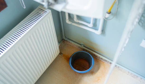 Best Local water damage restoration  in Cedarburg, WI
